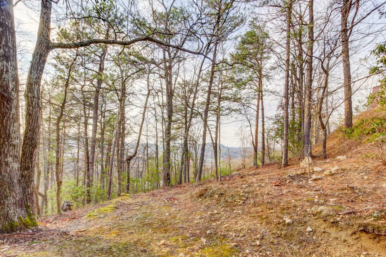 Misty View Cabin Hatchertown Exteriér fotografie