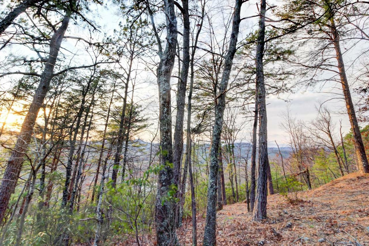 Misty View Cabin Hatchertown Exteriér fotografie